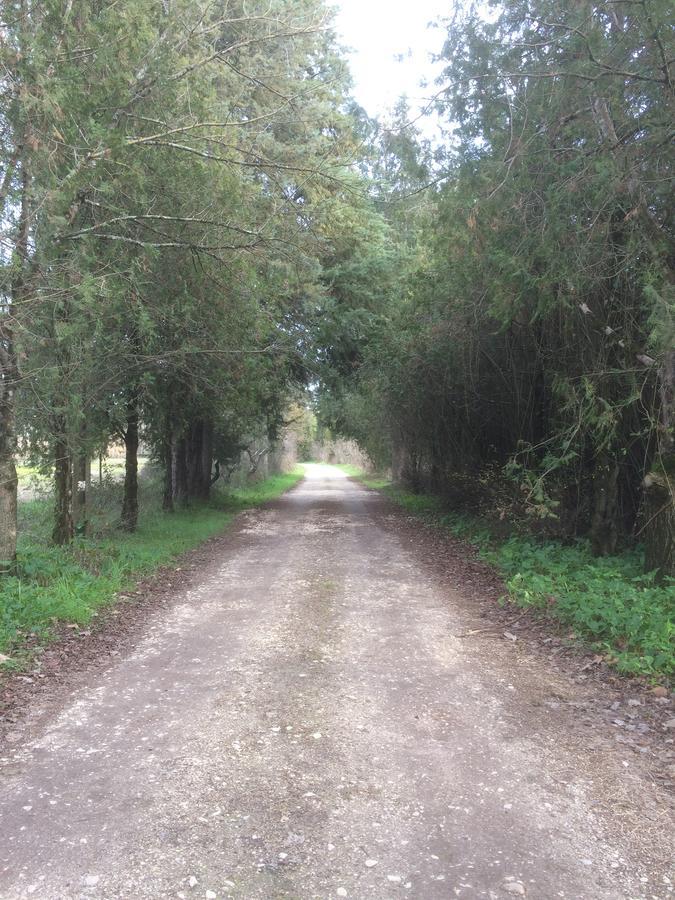 Quinta De Coalhos Th Villa Abrantes Buitenkant foto